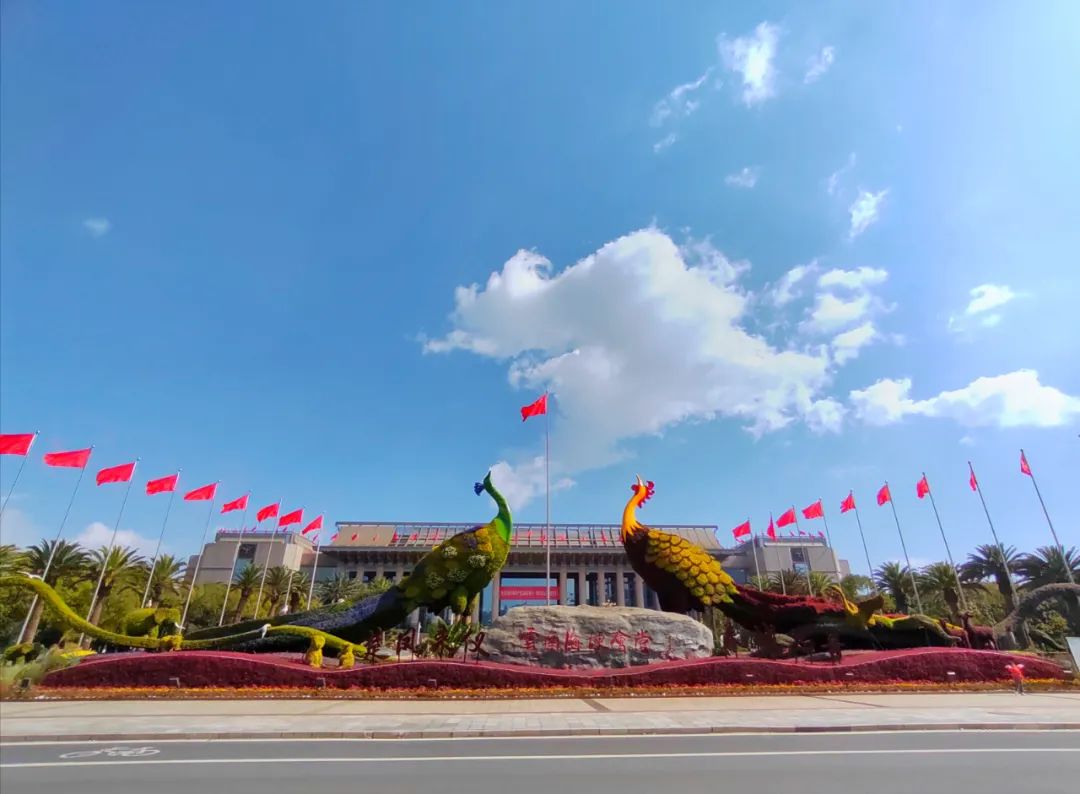 1670917954449653.jpg 1670917954449653.jpg