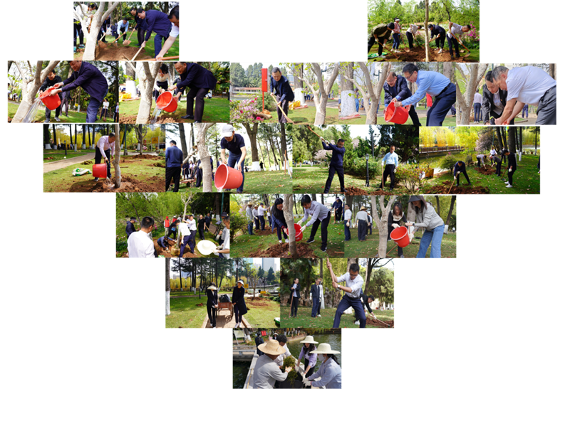 1711091366822446.png 222.png