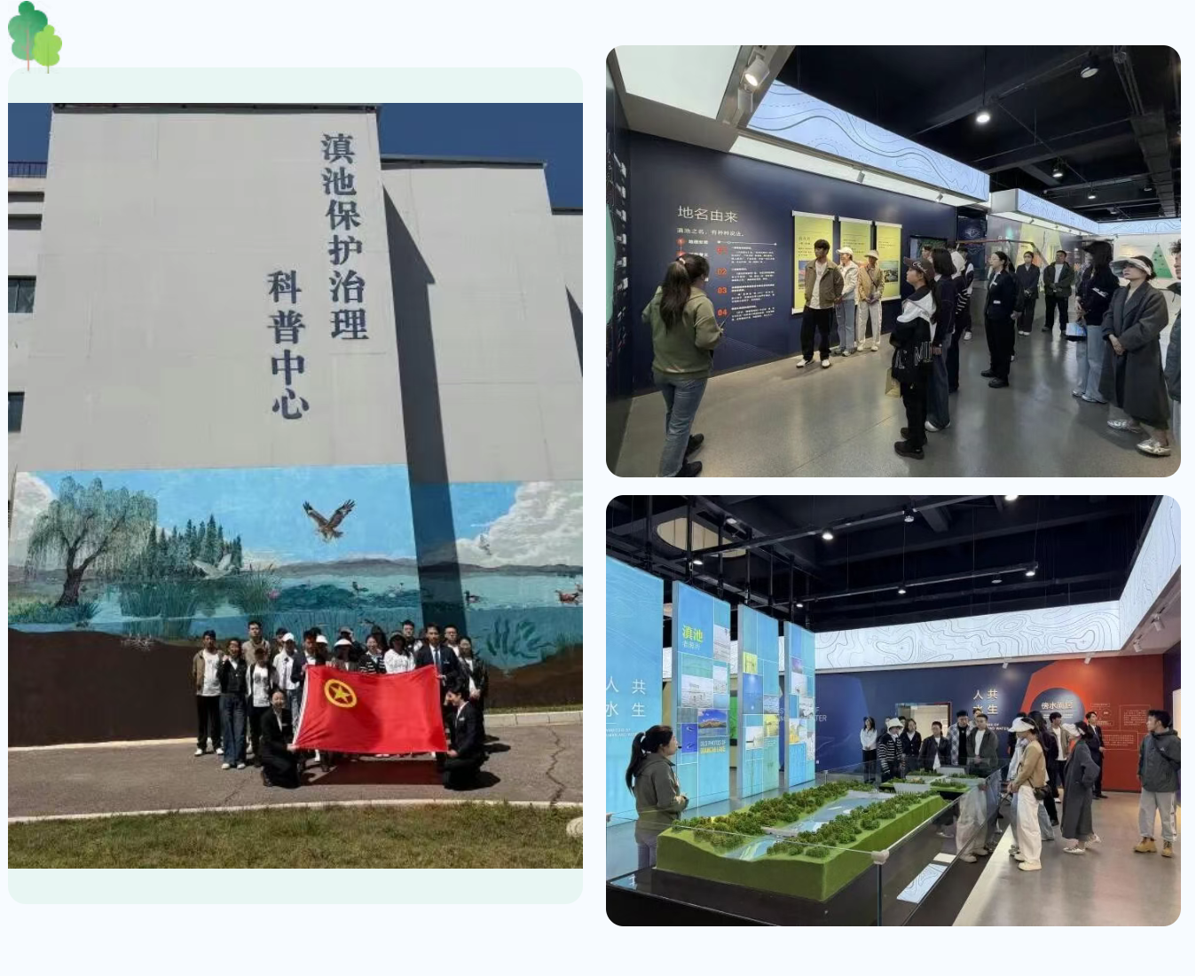 1775533558321431.png 1775533558321431.png